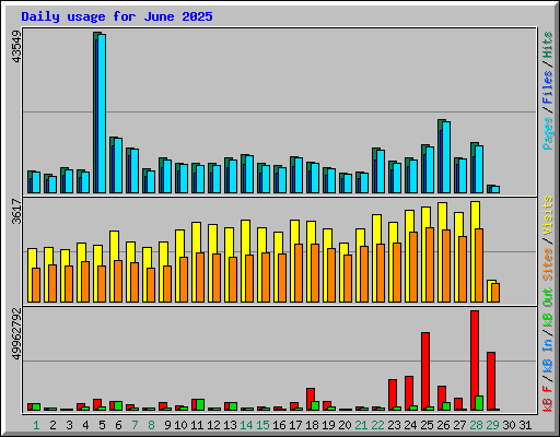 Daily usage for June 2025