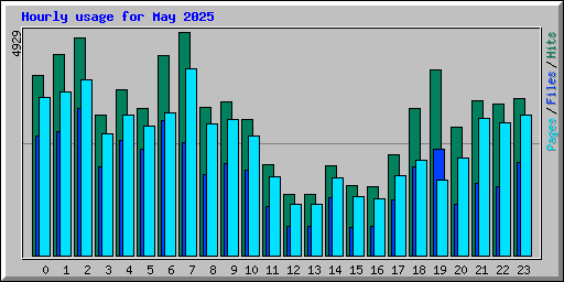 Hourly usage for May 2025