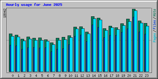 Hourly usage for June 2025