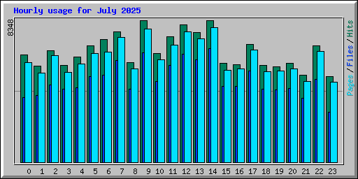 Hourly usage for July 2025