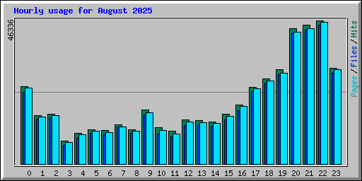 Hourly usage for August 2025