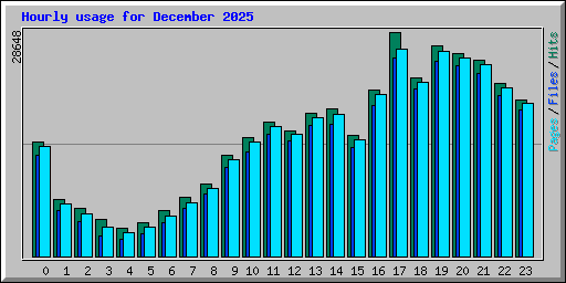 Hourly usage for December 2025