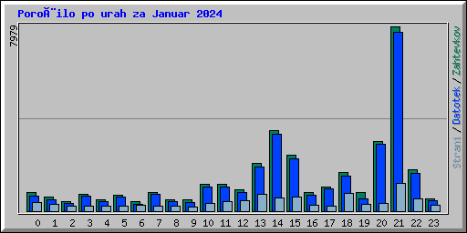 Poroèilo po urah za Januar 2024