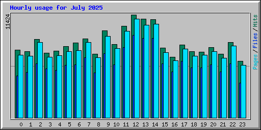 Hourly usage for July 2025